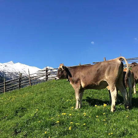 Jenneweinhof 3* トゥクス